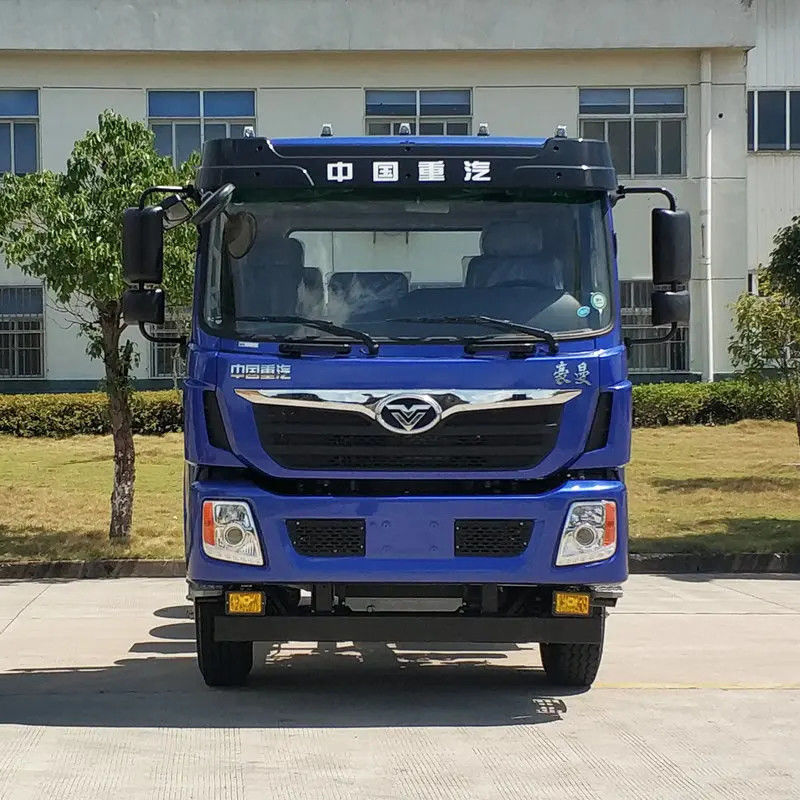 Motore diesel a 12 ruote LHD RHD 8*4/6*4 Camionetto di scarico per il trasporto di infrastrutture