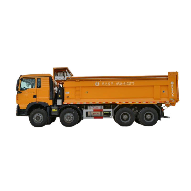 Automazione a 10 pneumatici HOWO Dump Truck con telecamera posteriore e sedile normale