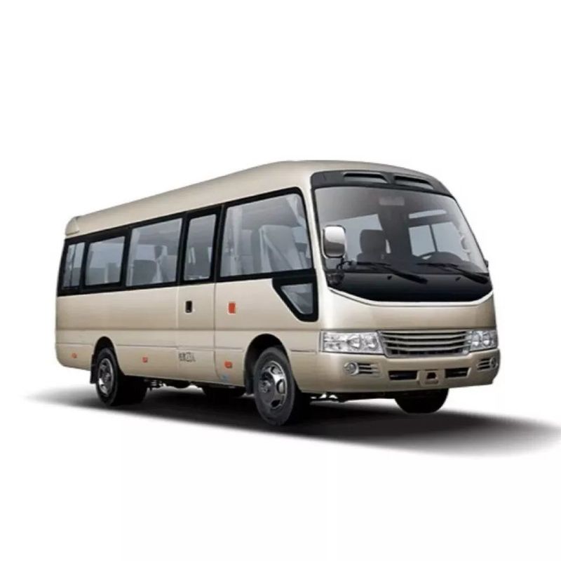 Autobus da 30 posti con trasmissione manuale e G.V.W. Kg di 5900 a prezzi accessibili
