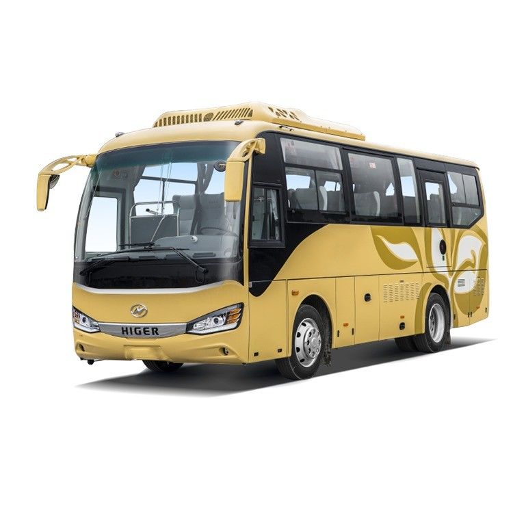 31-50 posti a sedere Autobus usato 9m Diesel Tour Coach per visite ai siti storici