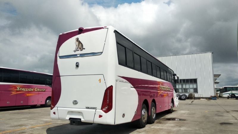 55 posti a sedere LHD Drive Type Luxury Coaches per gli autobus urbani