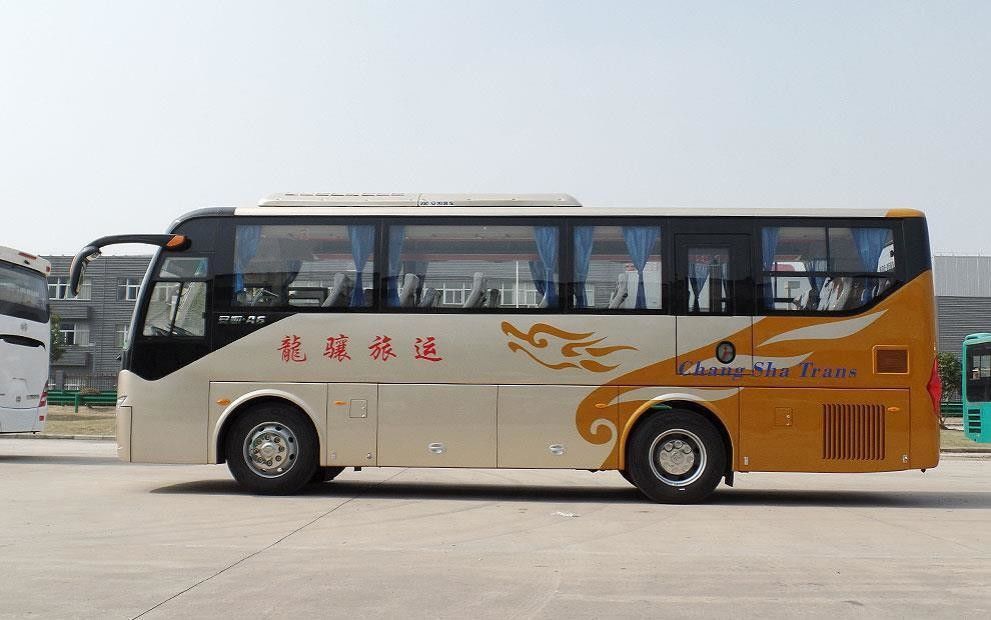 Autobus da 10 metri a sinistra con design a colori e interni di lusso